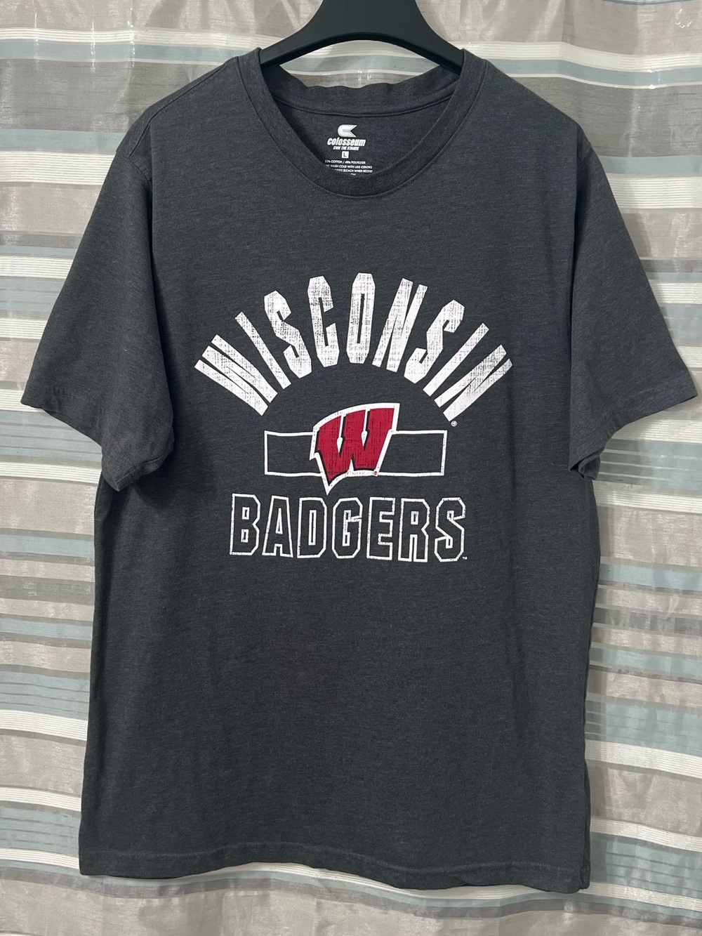 Wisconsin Badgers Men's Dark Gray Graphic T-Shirt